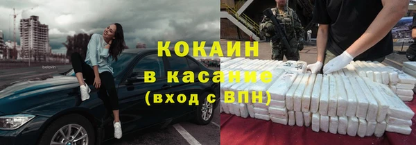 индика Арсеньев
