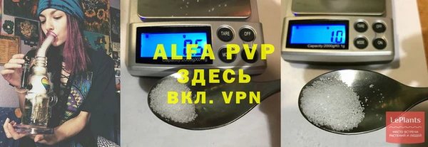 индика Арсеньев