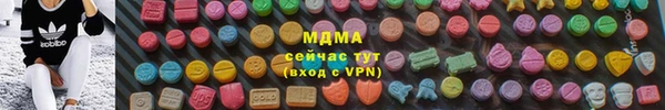 индика Арсеньев