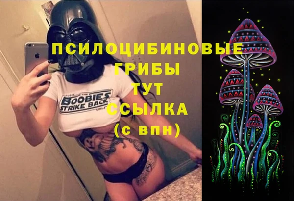 индика Арсеньев
